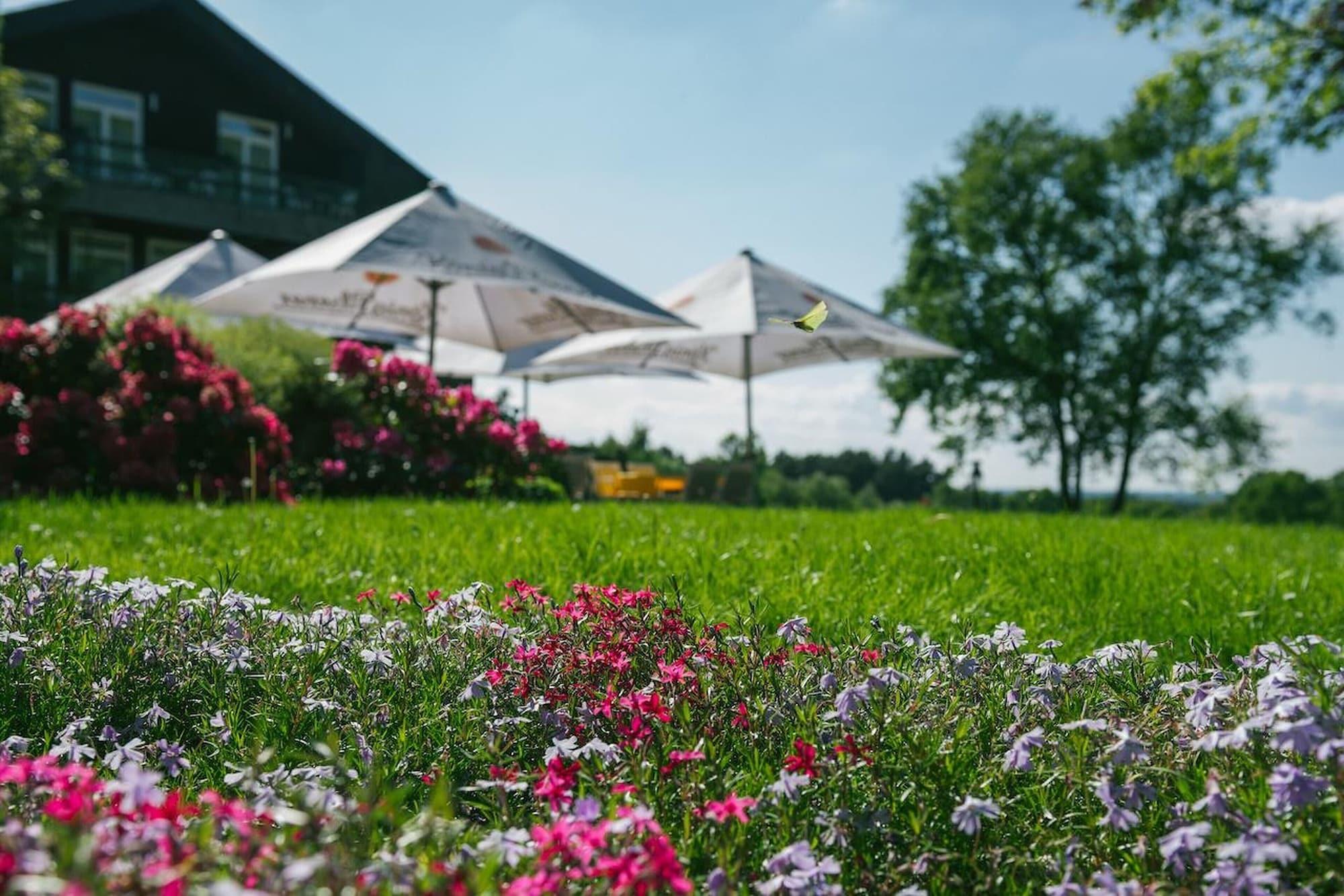 Hotel Landhaus Hoepen Schneverdingen Exteriér fotografie